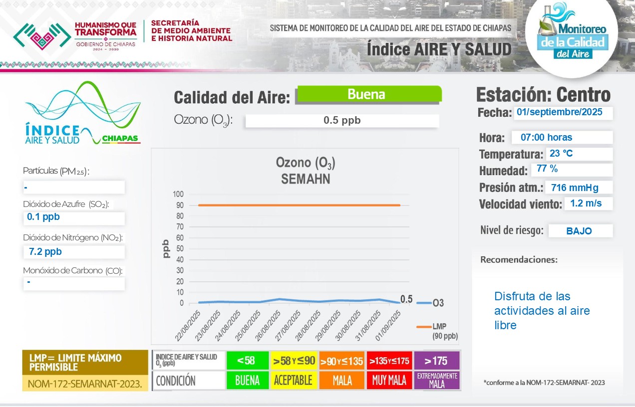 Descripción de la imagen